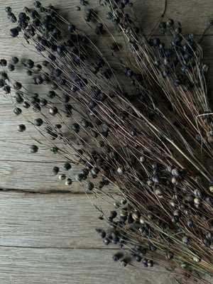 Open image in slideshow, Preserved Flax Stems

